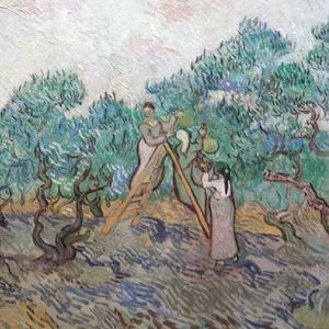 Meet your Posher, Mikki